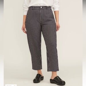 NWT Everlane Striped Utility Barrel Pants